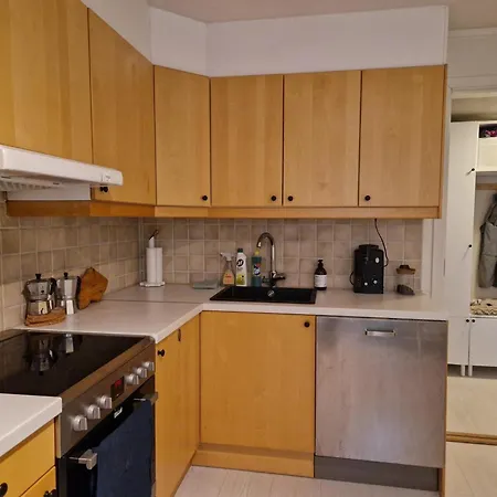Balkong Med Utsikt Og Gratis Parkering I Garasje Apartment Oslo Exterior photo